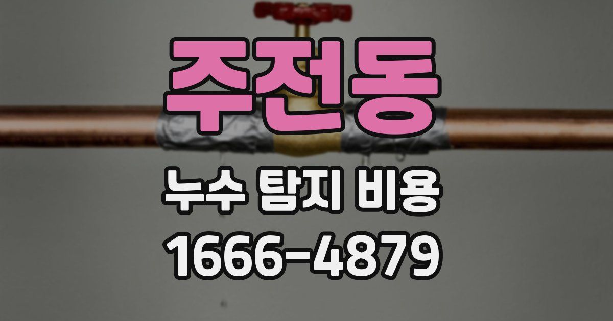 주전동 누수 탐지 비용