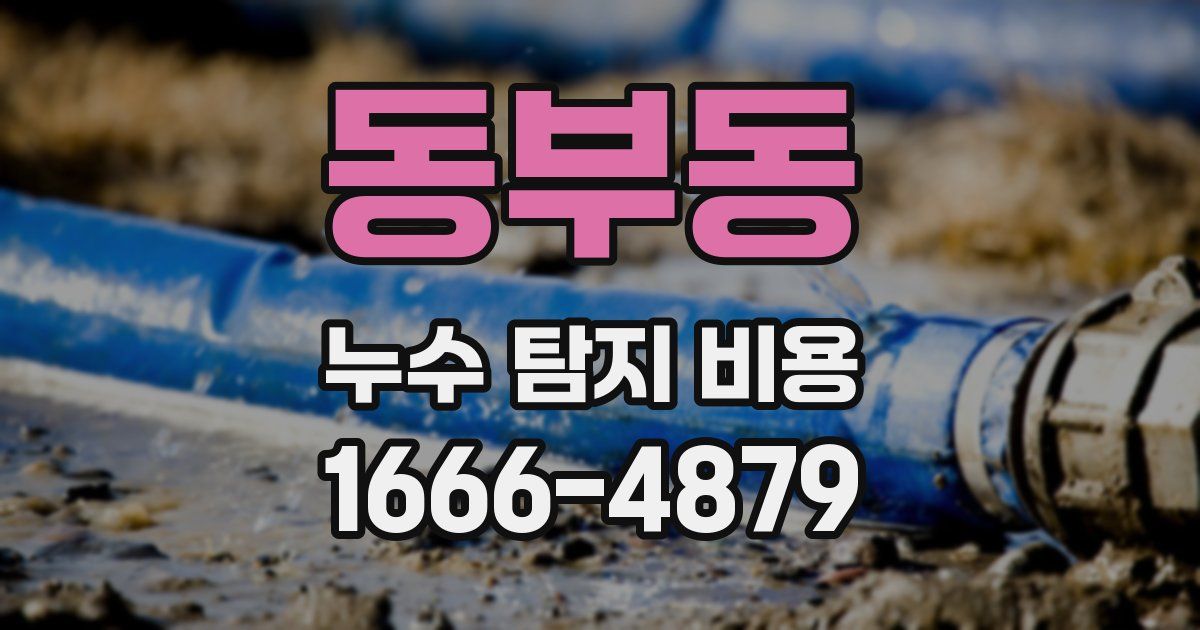 동부동 누수 탐지 비용