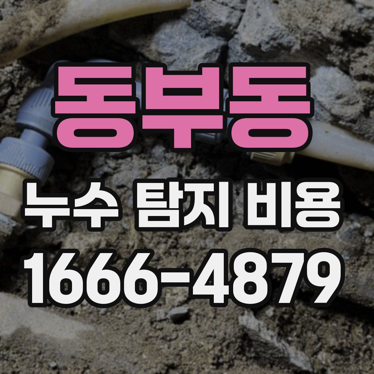 동부동 누수 탐지 비용