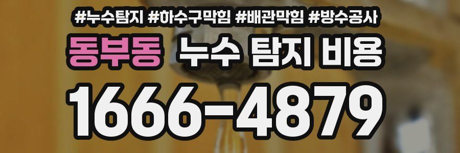 동부동 누수 탐지 비용