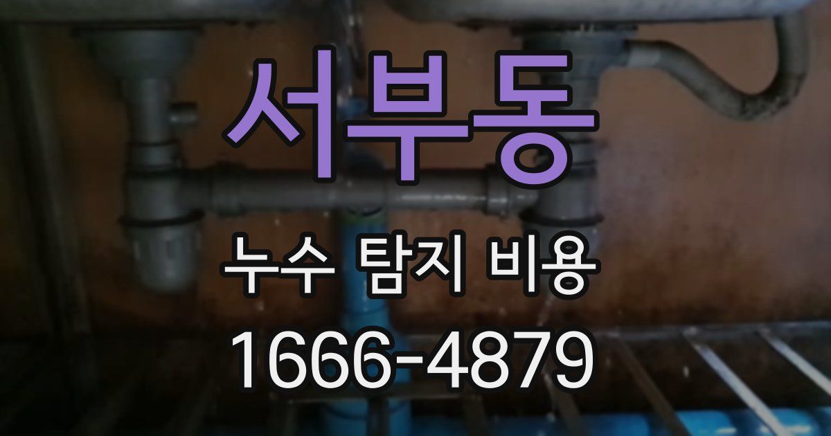 서부동 누수 탐지 비용