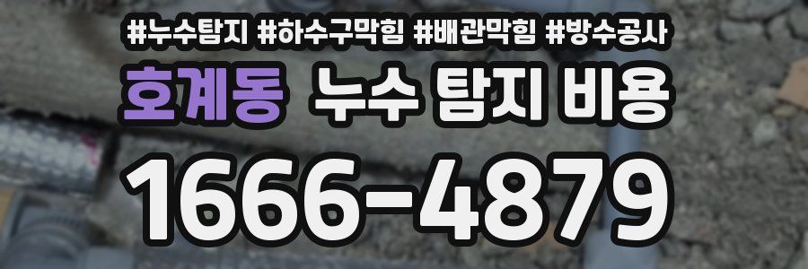 호계동 누수 탐지 비용