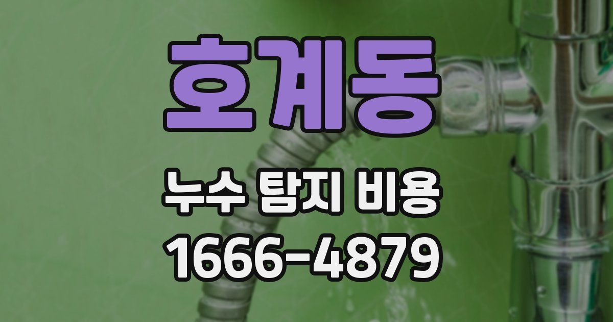 호계동 누수 탐지 비용