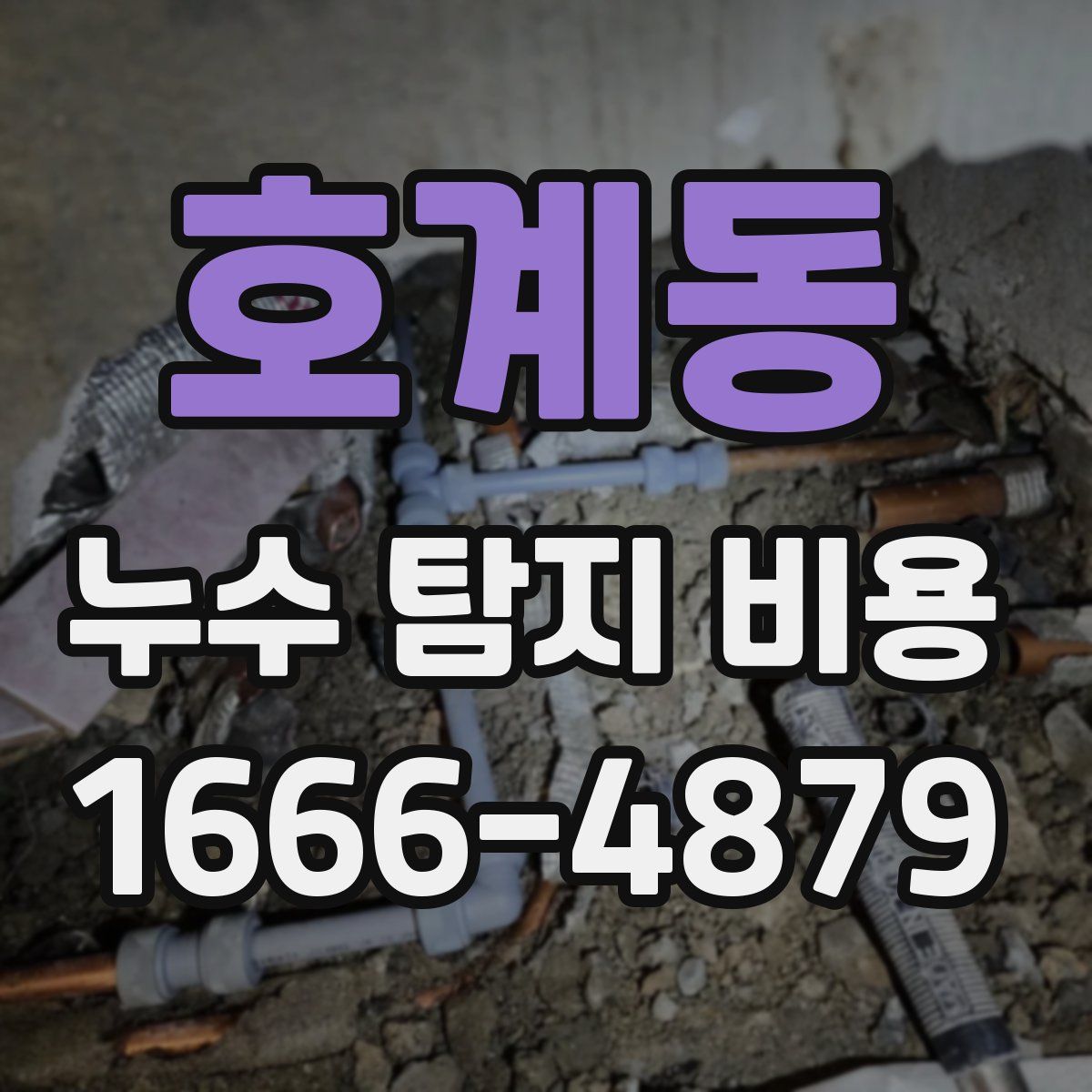 호계동 누수 탐지 비용