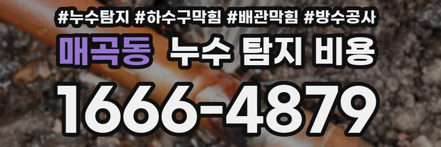 매곡동 누수 탐지 비용