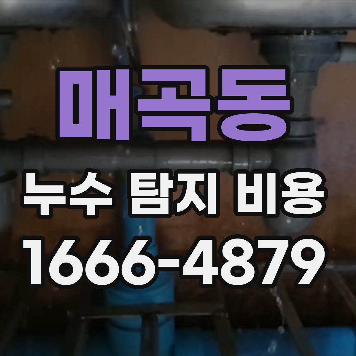 매곡동 누수 탐지 비용