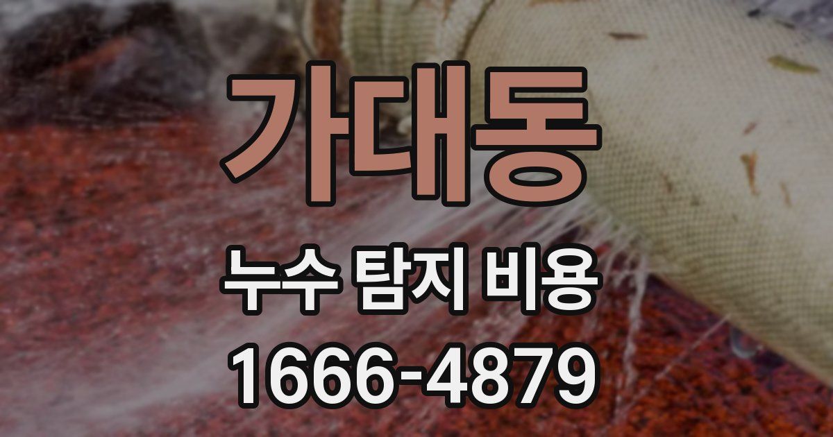 가대동 누수 탐지 비용