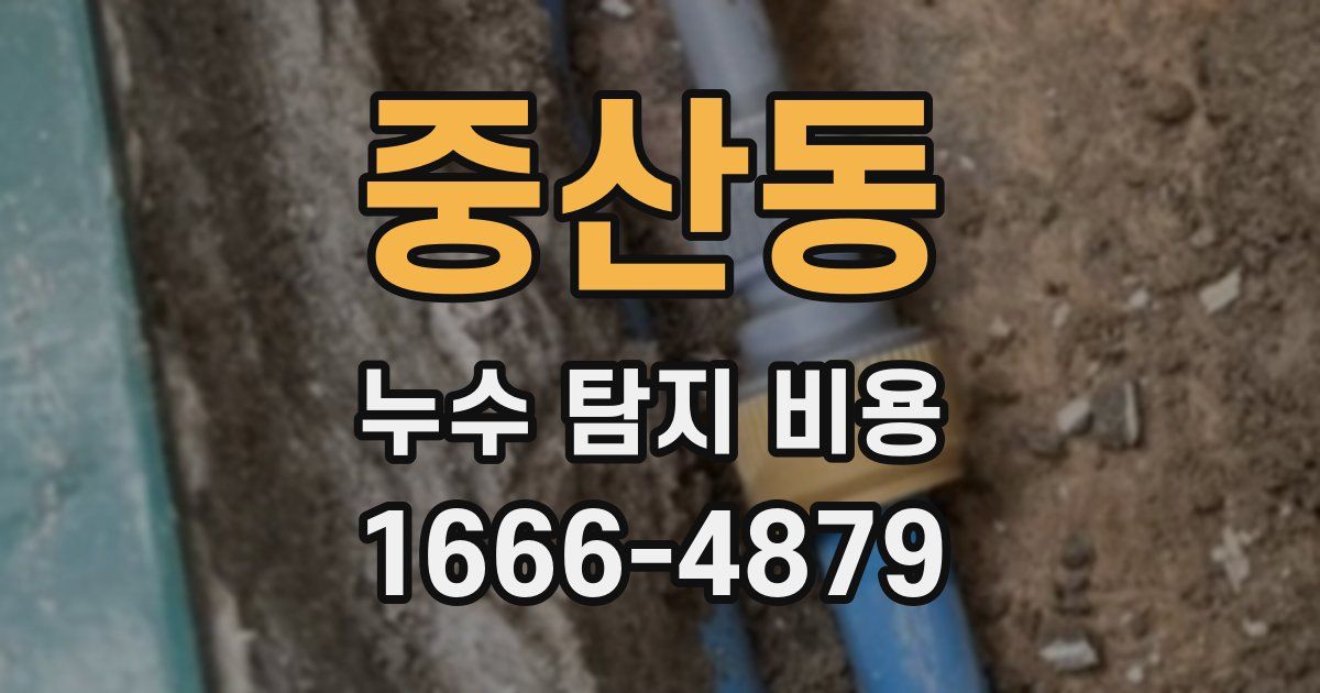 중산동 누수 탐지 비용