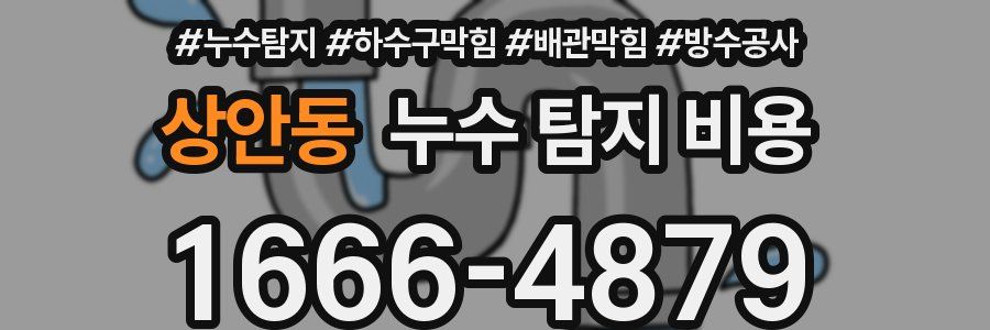상안동 누수 탐지 비용