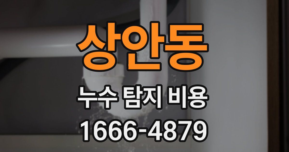 상안동 누수 탐지 비용