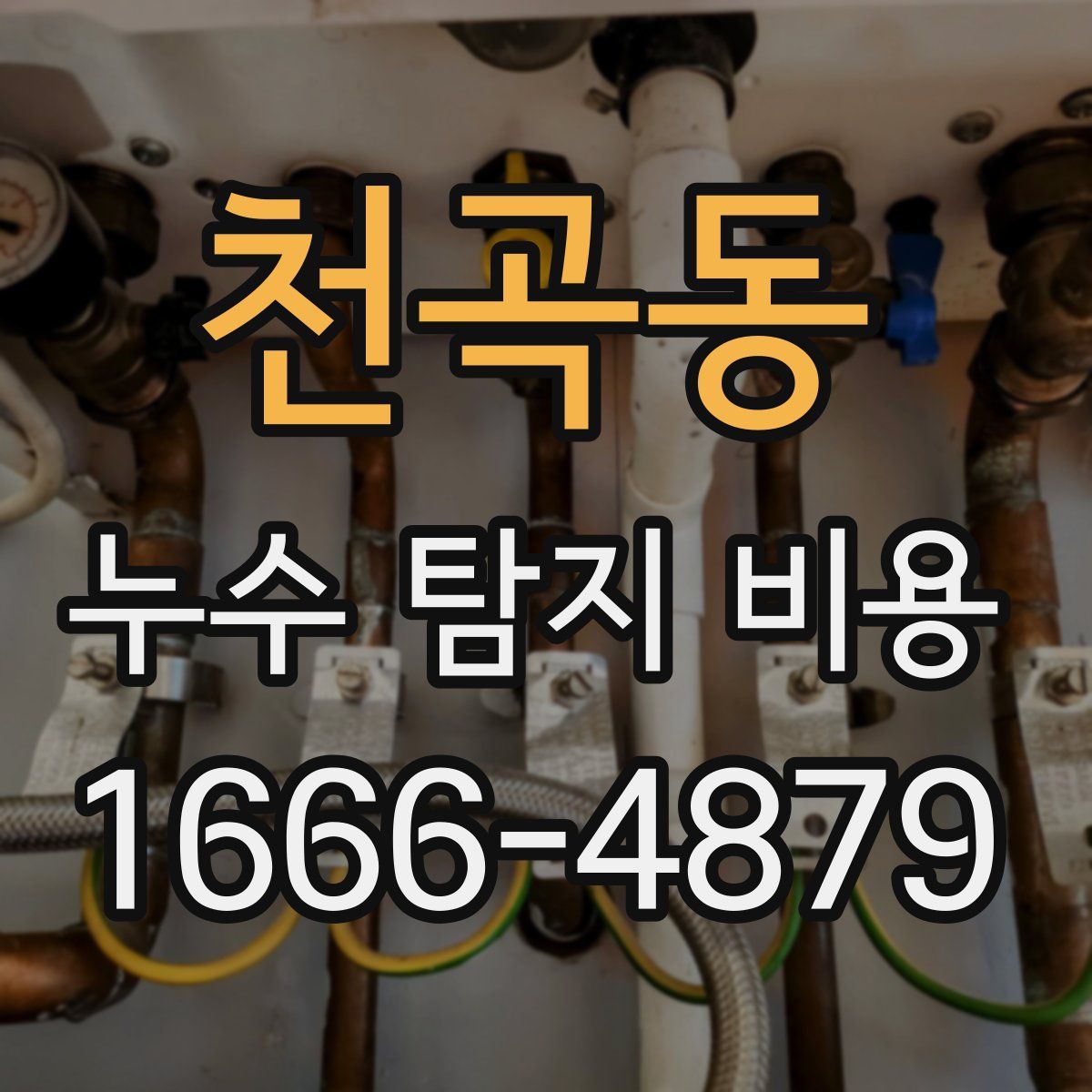 천곡동 누수 탐지 비용