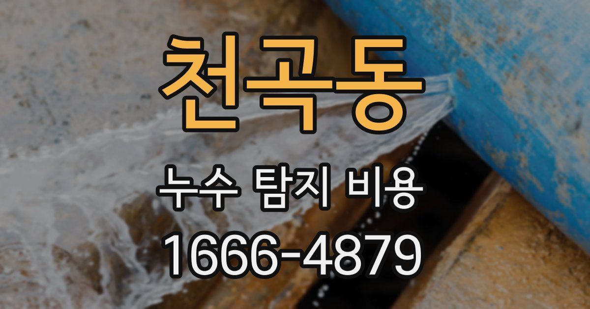 천곡동 누수 탐지 비용