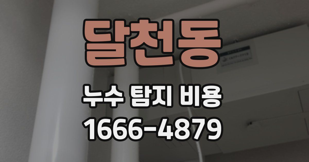 달천동 누수 탐지 비용