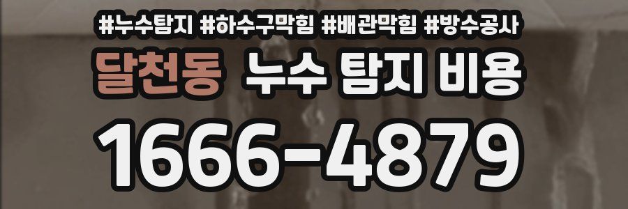달천동 누수 탐지 비용