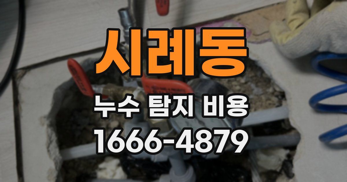 시례동 누수 탐지 비용