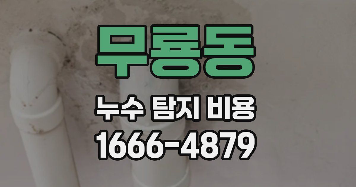 무룡동 누수 탐지 비용