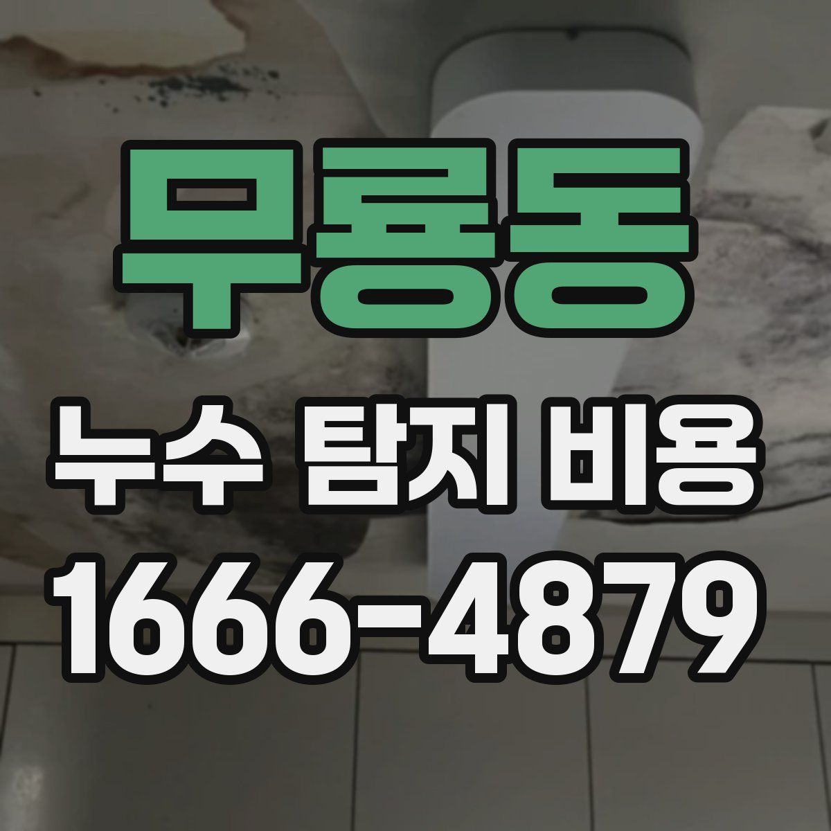 무룡동 누수 탐지 비용