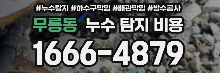 무룡동 누수 탐지 비용