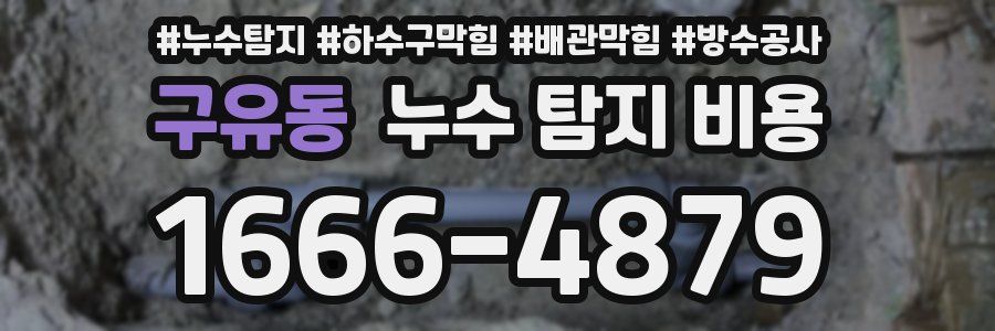 구유동 누수 탐지 비용