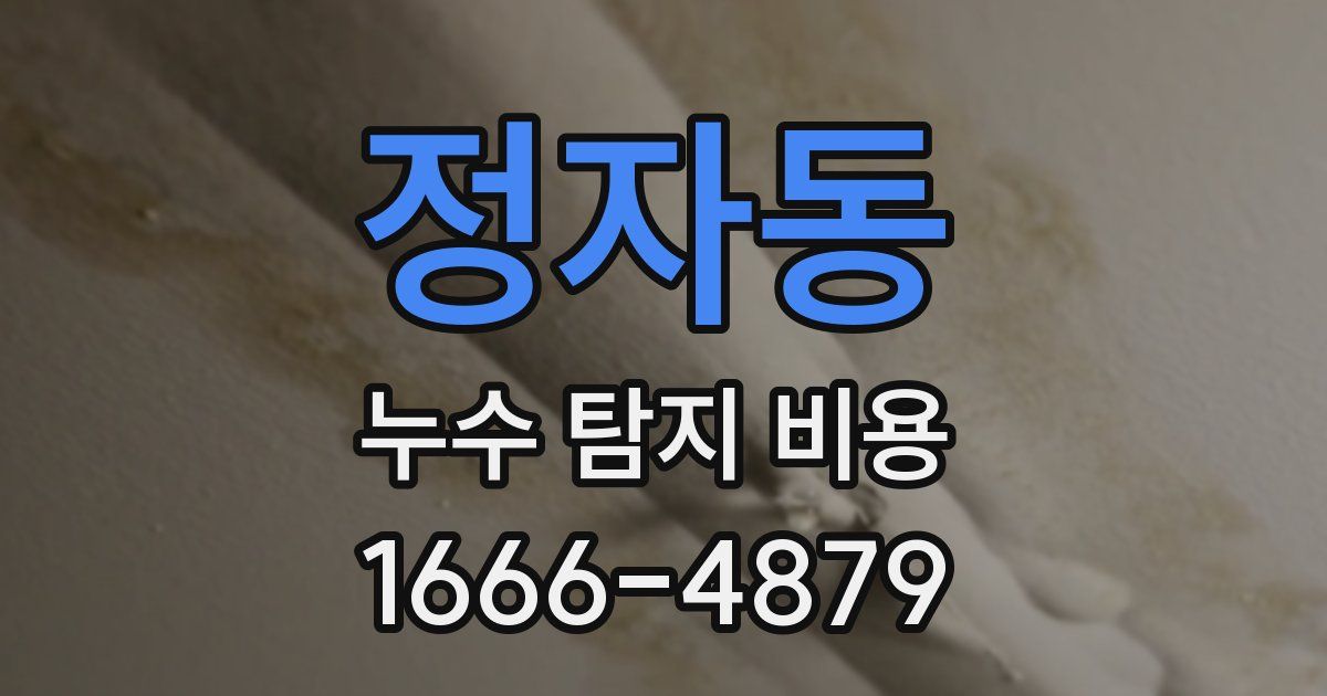 정자동 누수 탐지 비용