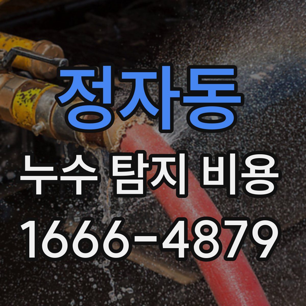 정자동 누수 탐지 비용