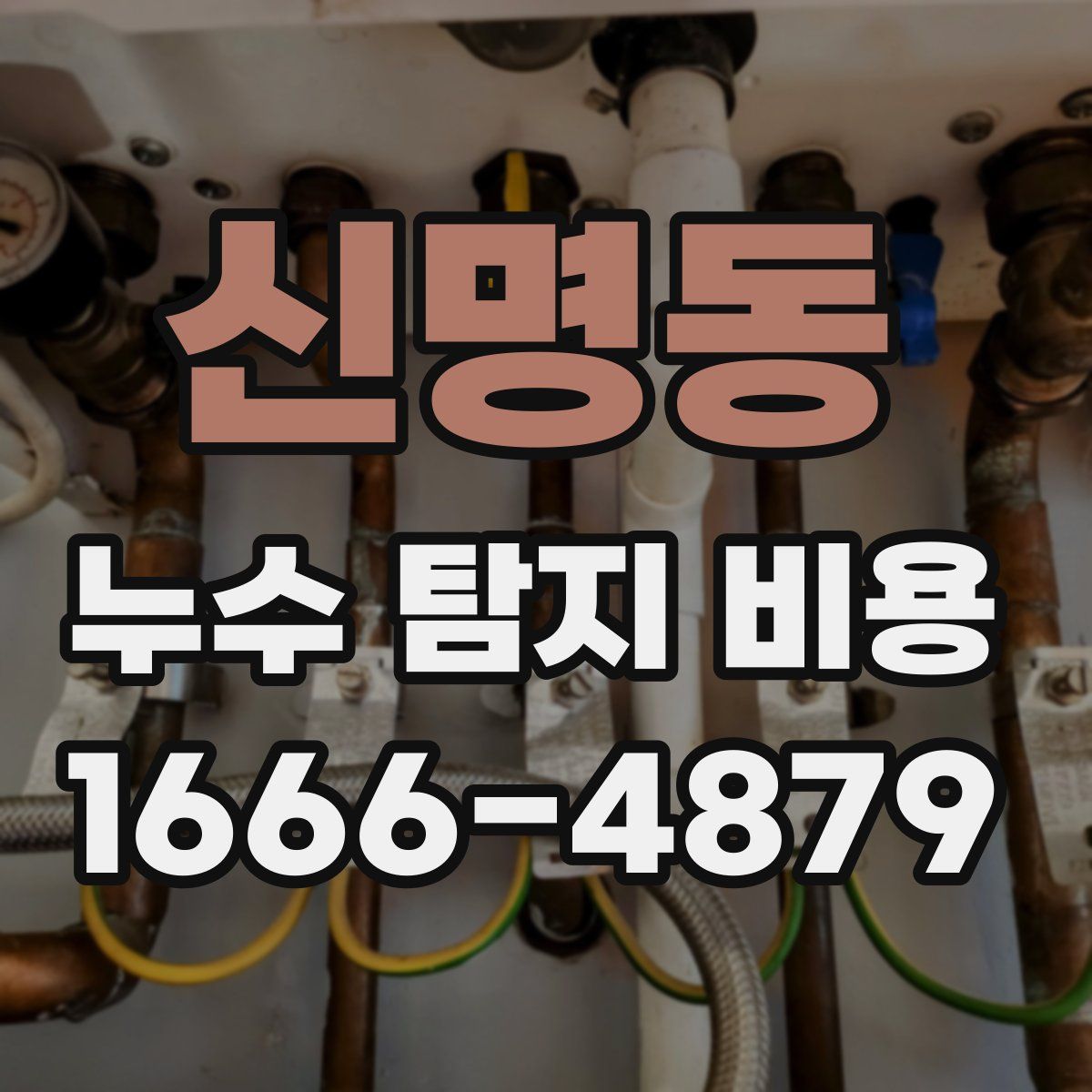 신명동 누수 탐지 비용