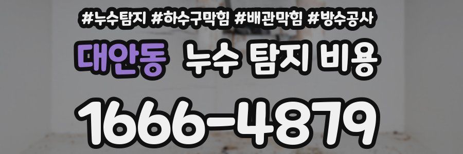 대안동 누수 탐지 비용