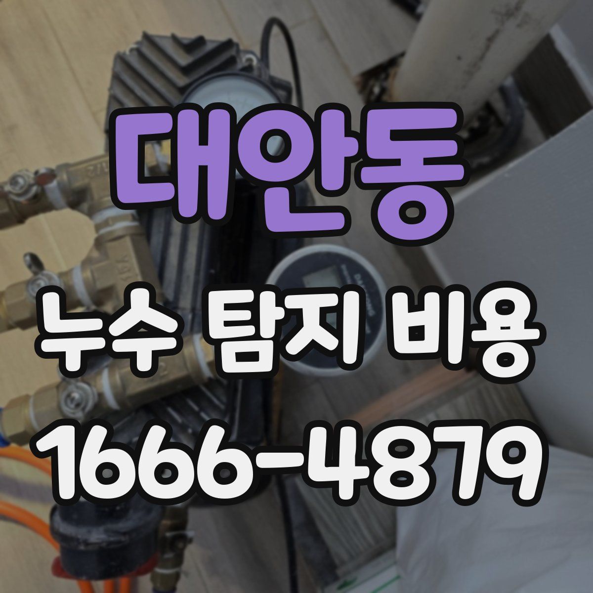 대안동 누수 탐지 비용