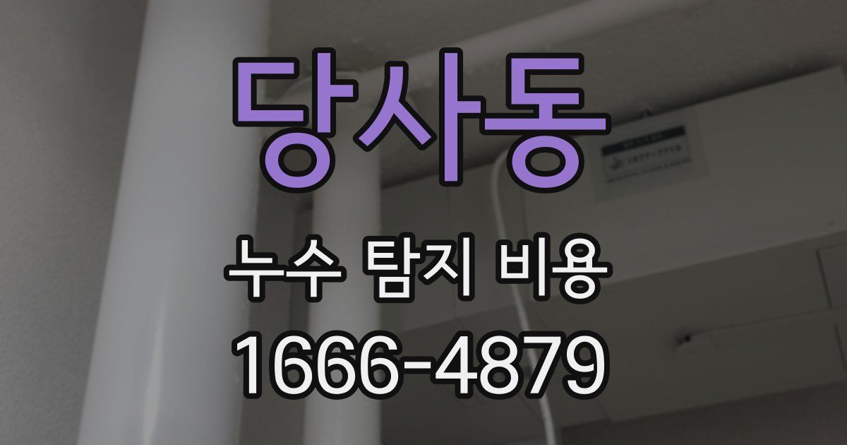 당사동 누수 탐지 비용