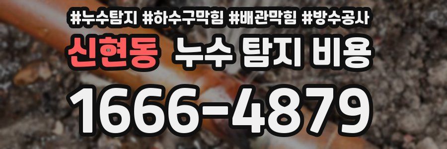 신현동 누수 탐지 비용