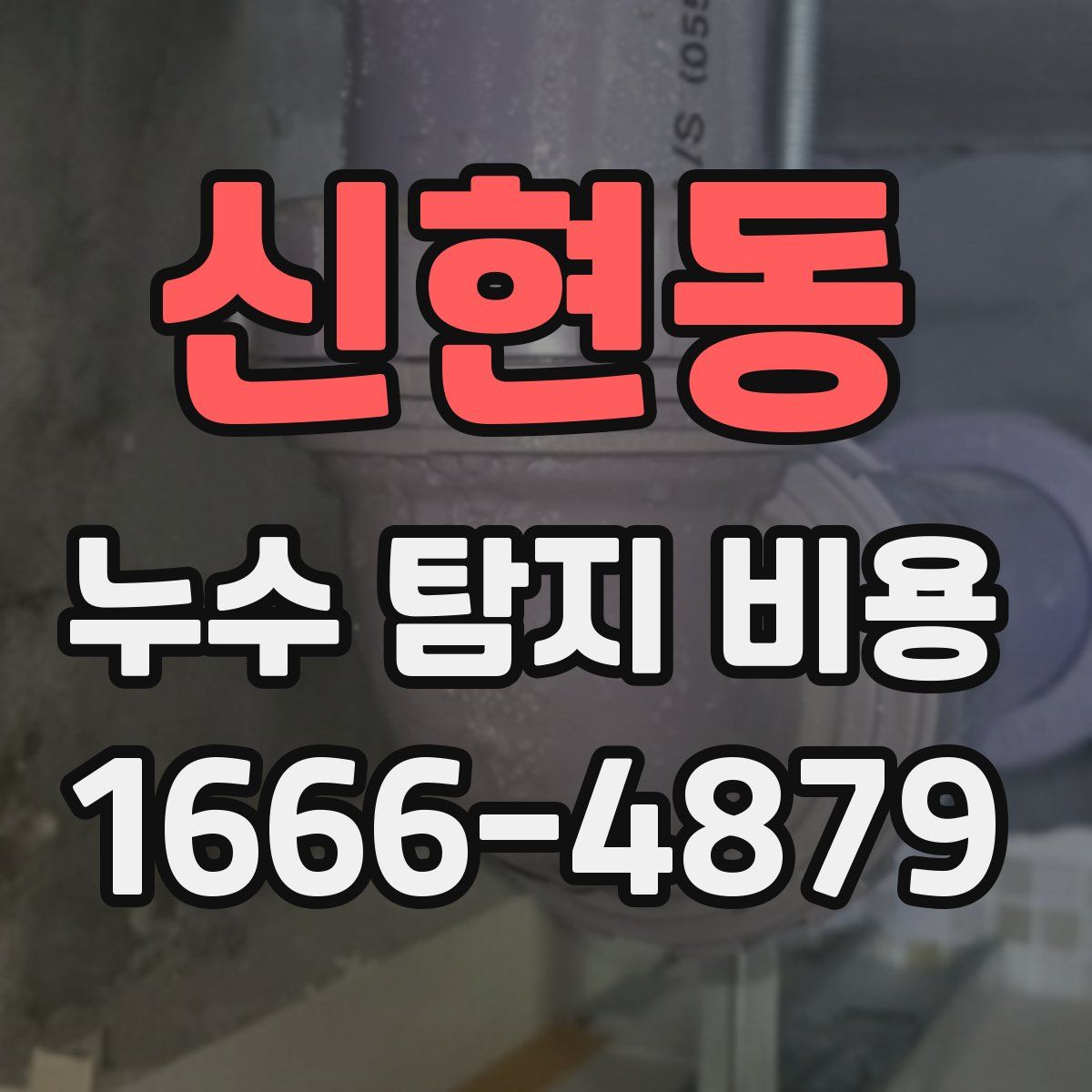 신현동 누수 탐지 비용
