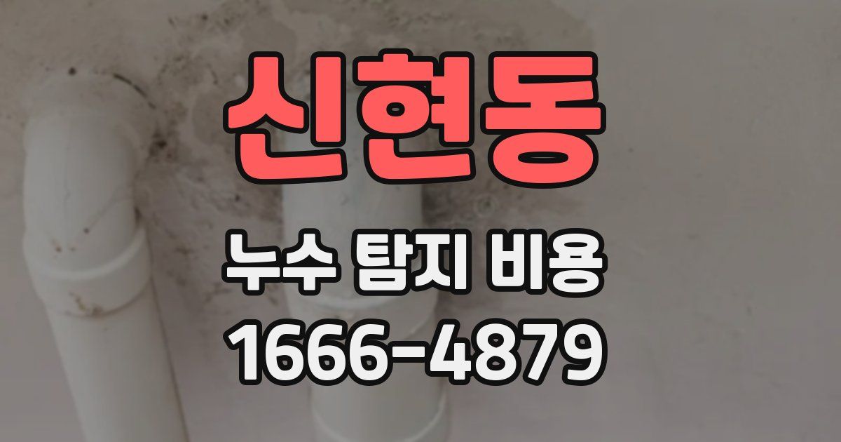 신현동 누수 탐지 비용