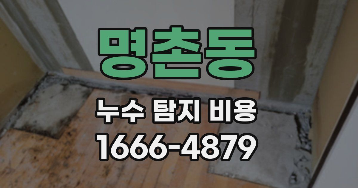 명촌동 누수 탐지 비용