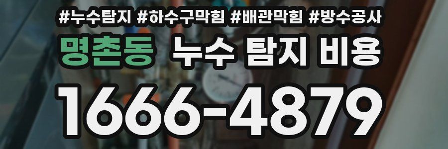 명촌동 누수 탐지 비용
