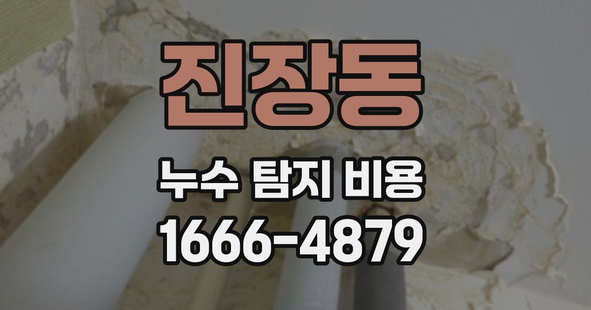 진장동 누수 탐지 비용