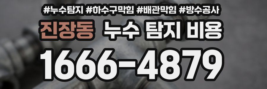 진장동 누수 탐지 비용