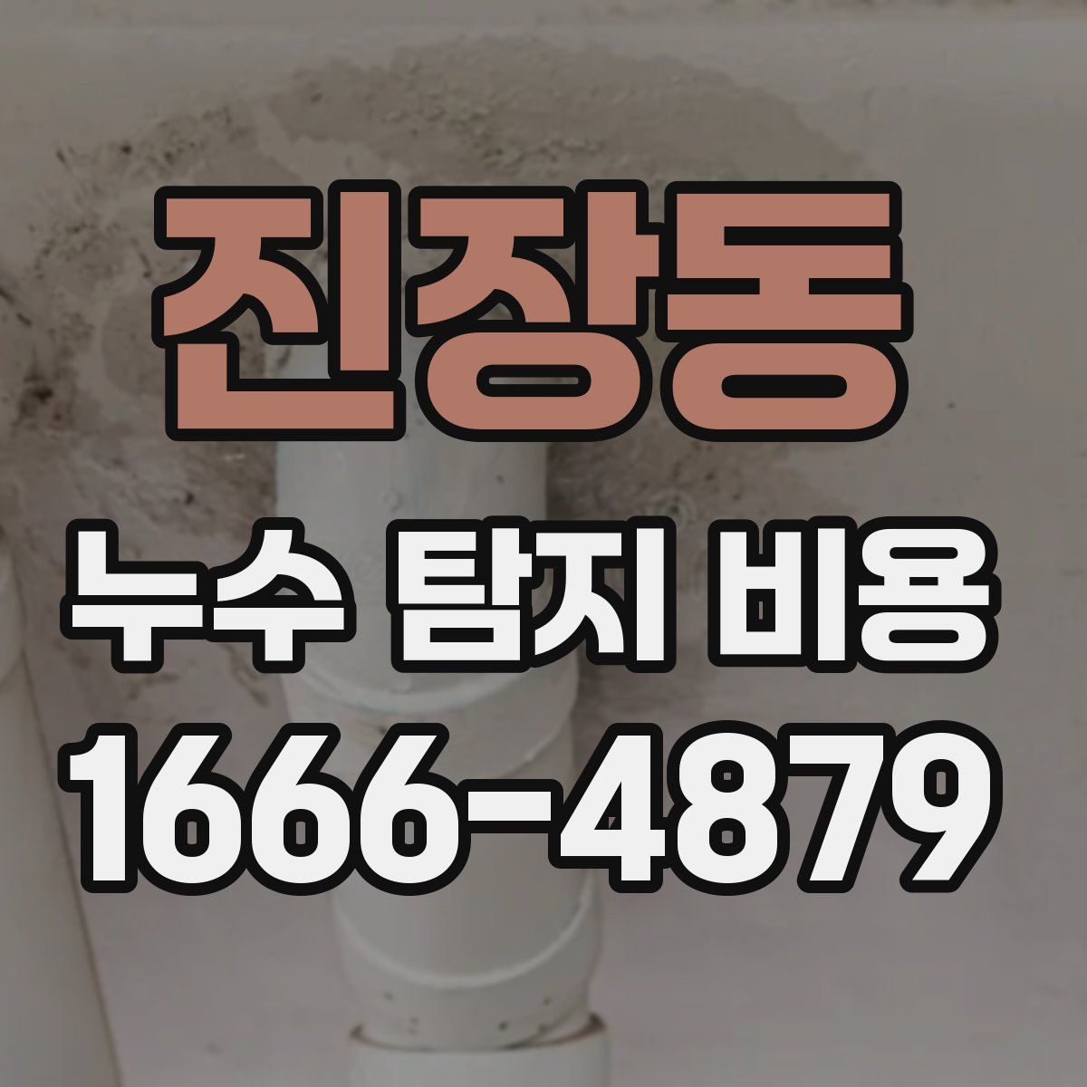 진장동 누수 탐지 비용