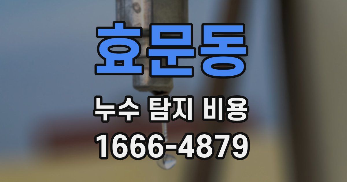 효문동 누수 탐지 비용