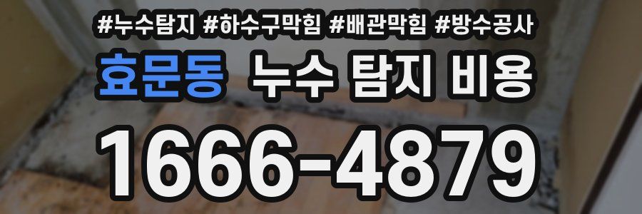 효문동 누수 탐지 비용