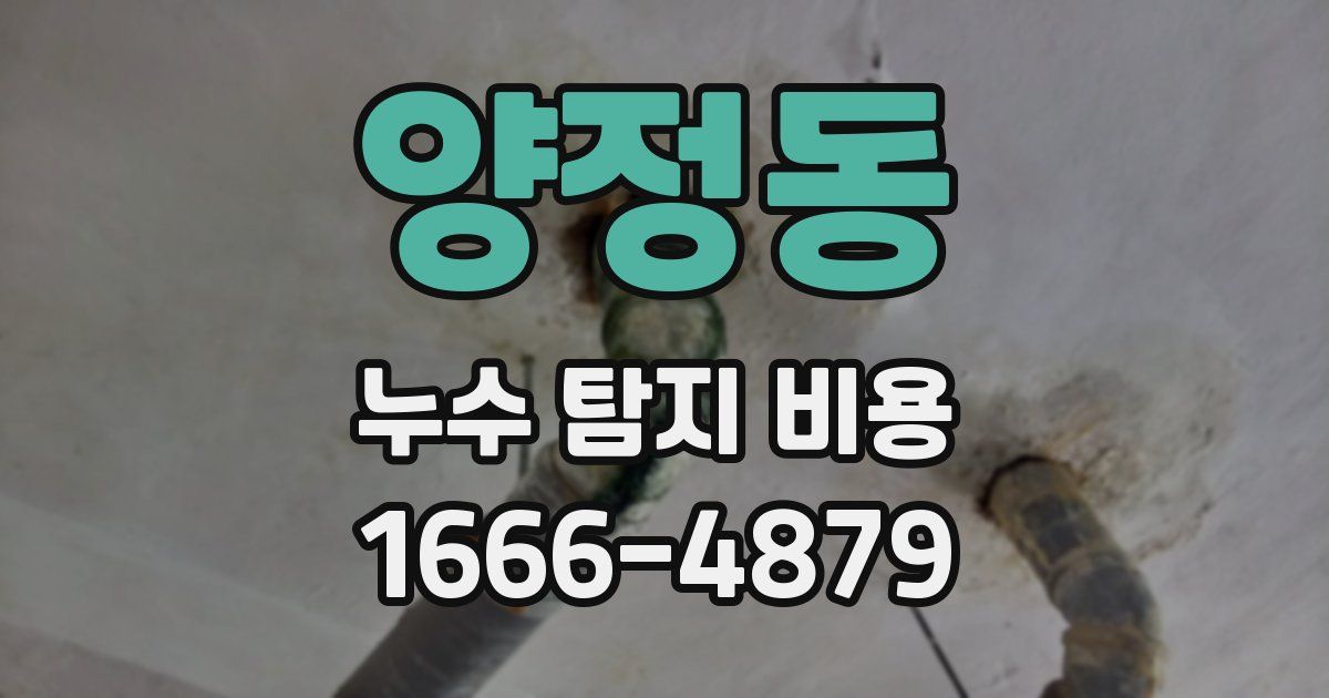 양정동 누수 탐지 비용