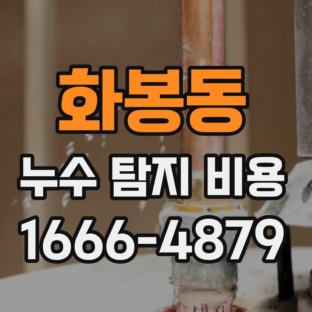 화봉동 누수 탐지 비용