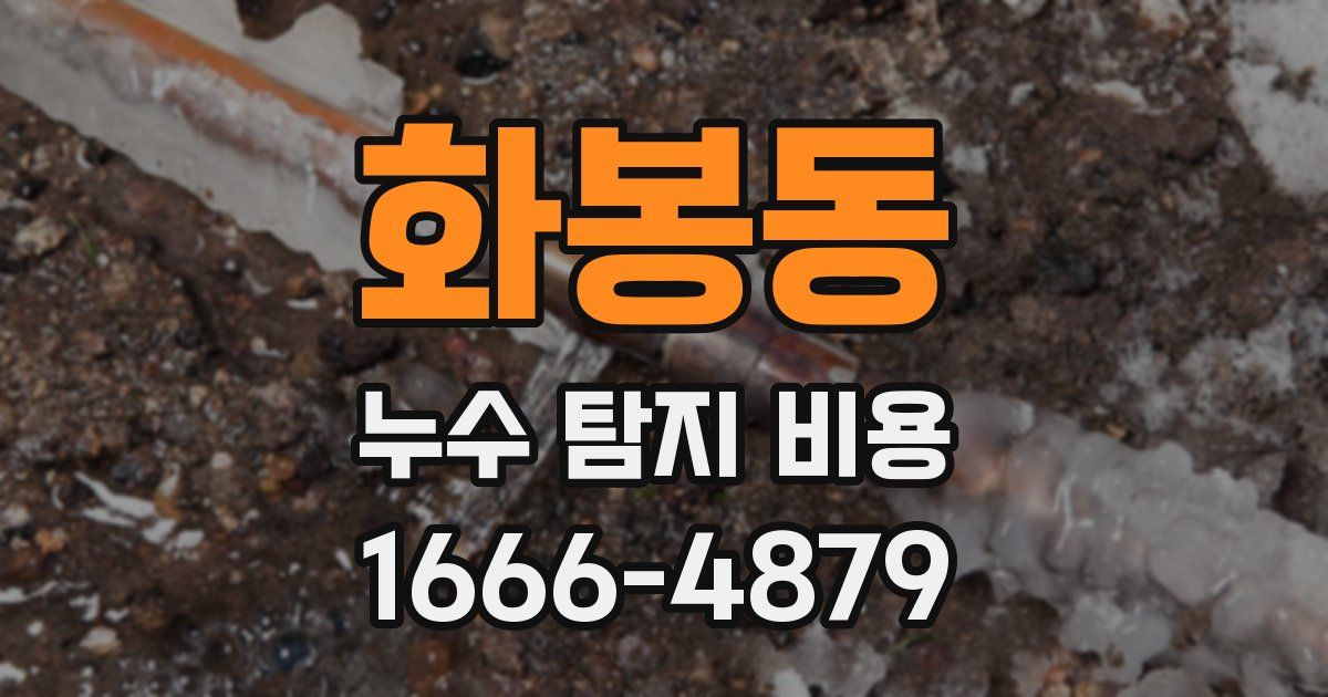 화봉동 누수 탐지 비용