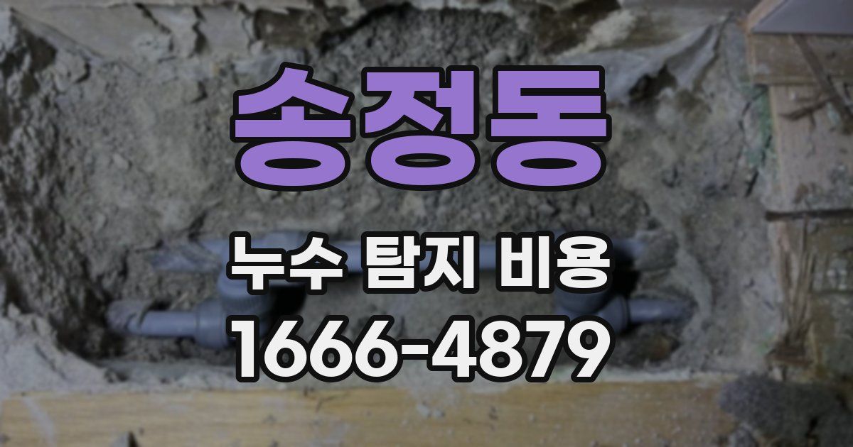 송정동 누수 탐지 비용