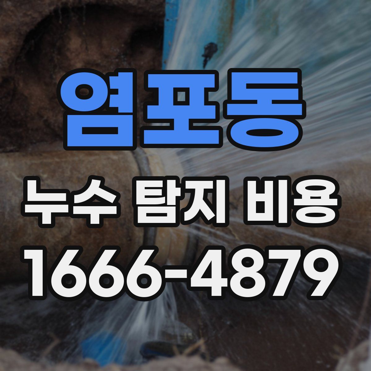 염포동 누수 탐지 비용