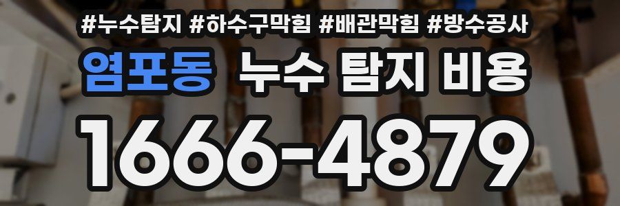 염포동 누수 탐지 비용