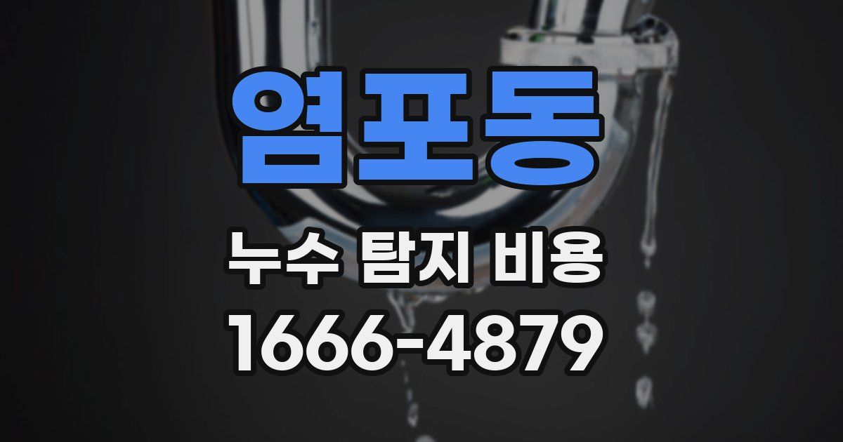 염포동 누수 탐지 비용