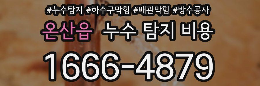 온산읍 누수 탐지 비용