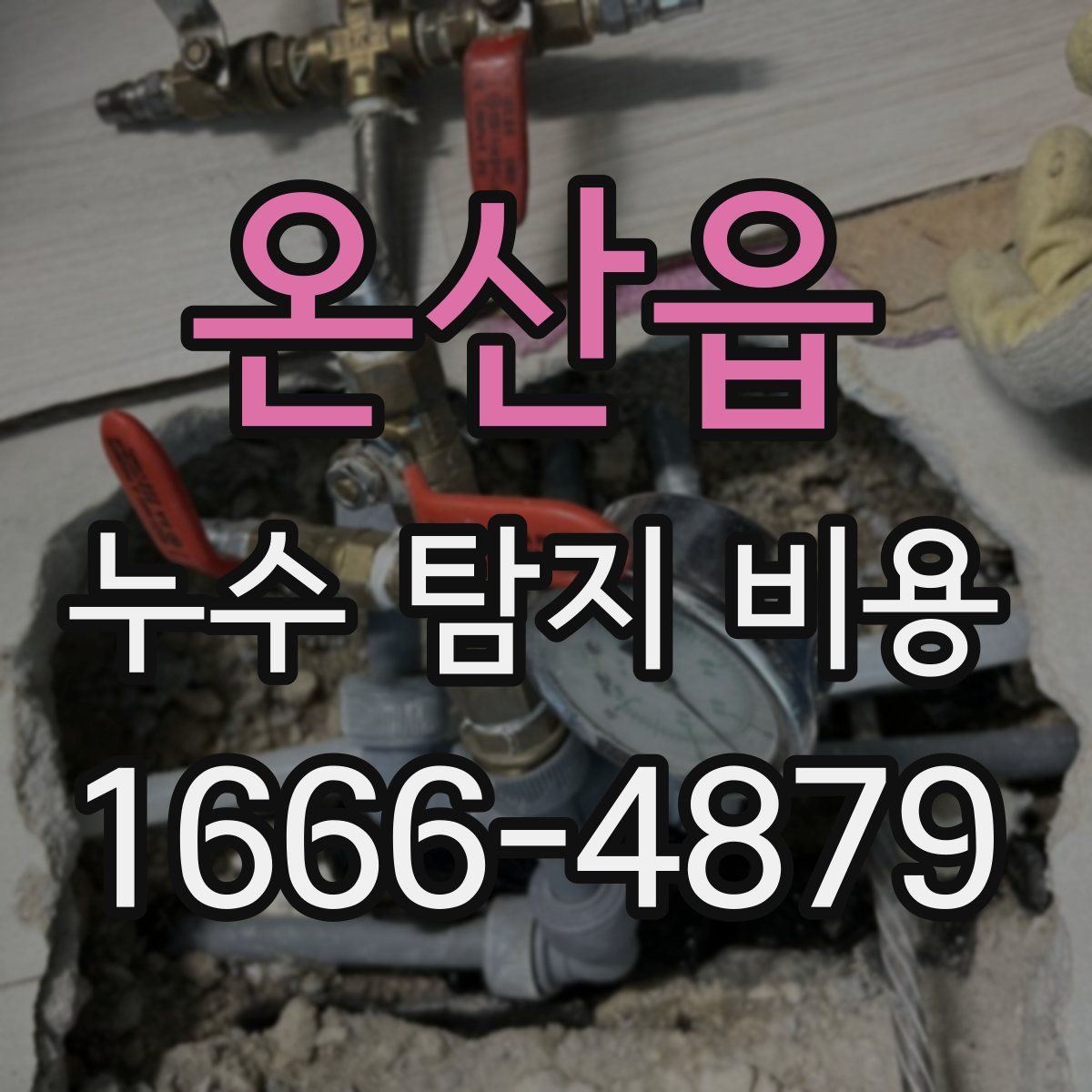 온산읍 누수 탐지 비용