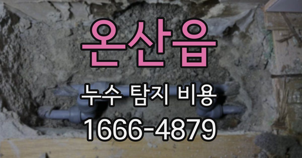온산읍 누수 탐지 비용