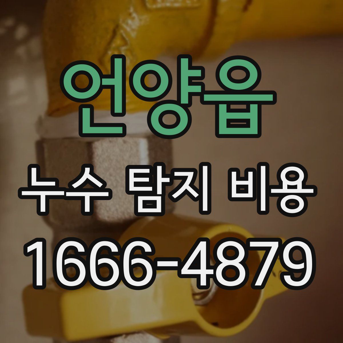 언양읍 누수 탐지 비용